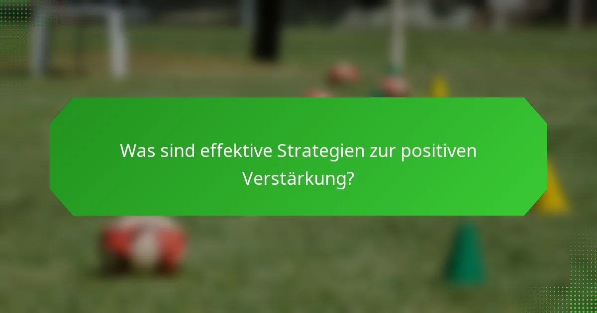 Was sind effektive Strategien zur positiven Verstärkung?
