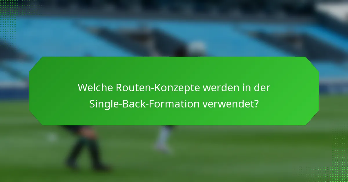 Welche Routen-Konzepte werden in der Single-Back-Formation verwendet?